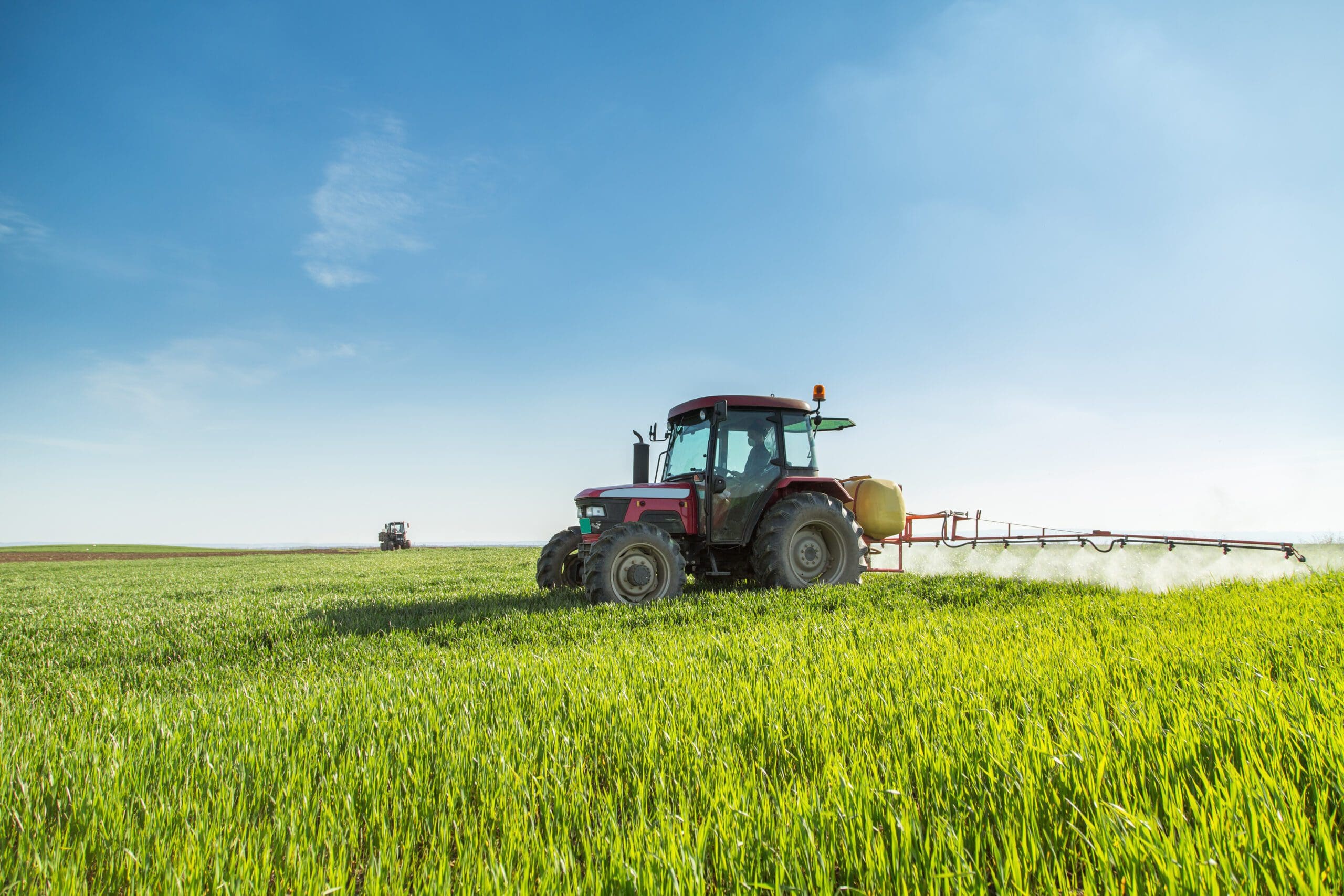 Farmer spraying green wheat field